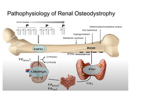 Osteoporosis Disease in Chronic Kidney Diseases | PPTX