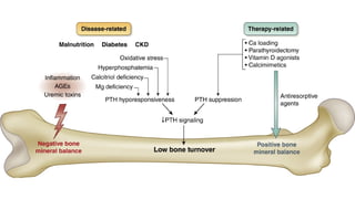 Osteoporosis Disease in Chronic Kidney Diseases | PPTX