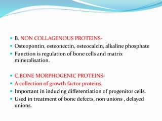  B. NON COLLAGENOUS PROTEINS-
 Osteopontin, osteonectin, osteocalcin, alkaline phosphate
 Function is regulation of bone cells and matrix
mineralisation.
 C.BONE MORPHOGENIC PROTEINS-
 A collection of growth factor proteins.
 Important in inducing differentiation of progenitor cells.
 Used in treatment of bone defects, non unions , delayed
unions.
 