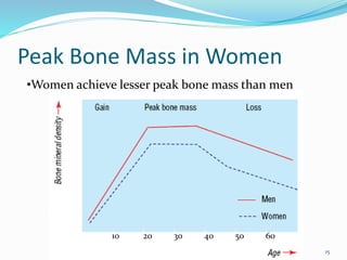 Peak Bone Mass in Women
10 20 30 40 50 60
•Women achieve lesser peak bone mass than men
15
 