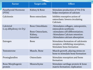 Factor Target cells Effect
Parathyroid Hormone
(PTH)
Kidney & Bone Stimulate production of Vit-D &
helps resorption of calcium
Calcitonin Bone osteoclasts Inhibits resorptive action of
osteoclasts: lowers circulating
Calcium.
Calcitriol
(1.25-dihydroxy vit-D3)
Bone Osteoblasts
Bone Osteoclasts,
Kidney,
Intestine
-Stimulates collagen, osteopontin,
osteocalcin synthesis;
-stimulates cell differentiation;
-Stimulates Calcium retention
-Stimulates calcium absorption
Estrogen Bone Stimulates formation of calcitonin
receptors, inhibiting resorption,;
Stimulate bone formation
Testosterone Muscle, Bone Muscle growth, placing stress on
bone to stimulate bone formation
Prostaglandins Osteoclasts Stimulate resorption and bone
formation
Bone Morphogenic
protein
Mesenchyme Stimulate cartilage protein & bone
matrix formation; replication
 