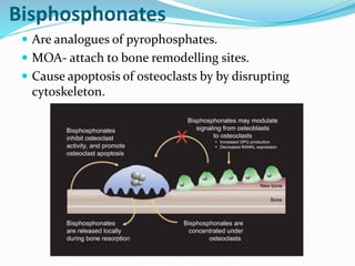 Bisphosphonates
 Are analogues of pyrophosphates.
 MOA- attach to bone remodelling sites.
 Cause apoptosis of osteoclasts by by disrupting
cytoskeleton.
 
