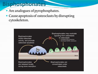 Bisphosphonates
 Are analogues of pyrophosphates.
 Causeapoptosisof osteoclasts bydisrupting
cytoskeleton.
 