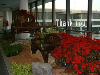 14.1.05 Osteoporosis 40
 