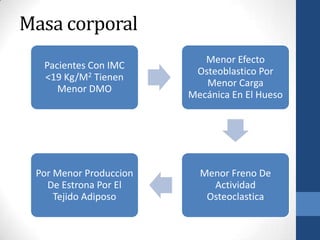 Masa corporal
                           Menor Efecto
  Pacientes Con IMC
                         Osteoblastico Por
  <19 Kg/M2 Tienen
                           Menor Carga
     Menor DMO
                        Mecánica En El Hueso




 Por Menor Produccion     Menor Freno De
   De Estrona Por El        Actividad
     Tejido Adiposo        Osteoclastica
 