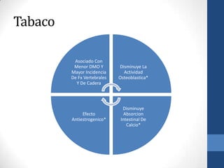 Tabaco

          Asociado Con
          Menor DMO Y        Disminuye La
         Mayor Incidencia      Actividad
         De Fx Vertebrales   Osteoblastica*
           Y De Cadera




                               Disminuye
              Efecto            Absorcion
         Antiestrogenico*     Intestinal De
                                 Calcio*
 