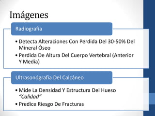 Imágenes
 Radiografía

 • Detecta Alteraciones Con Perdida Del 30-50% Del
   Mineral Óseo
 • Perdida De Altura Del Cuerpo Vertebral (Anterior
   Y Media)

 Ultrasonógrafia Del Calcáneo

 • Mide La Densidad Y Estructura Del Hueso
   “Calidad”
 • Predice Riesgo De Fracturas
 