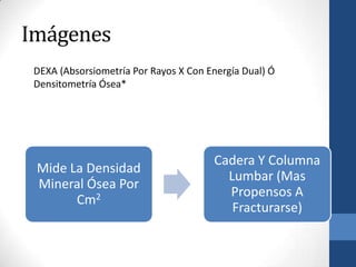 Imágenes
 DEXA (Absorsiometría Por Rayos X Con Energía Dual) Ó
 Densitometría Ósea*




                                       Cadera Y Columna
 Mide La Densidad
                                         Lumbar (Mas
 Mineral Ósea Por
                                         Propensos A
       Cm2
                                          Fracturarse)
 