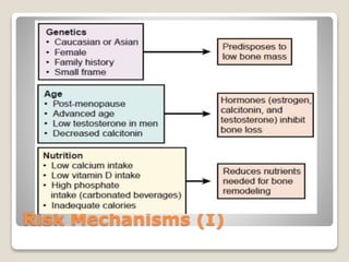 Risk Mechanisms (I)
 