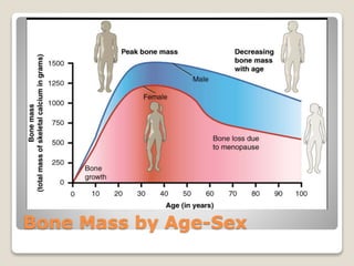 Bone Mass by Age-Sex
 