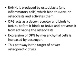 • RANKL is produced by osteoblasts (and
inflammatory cells) which bind to RANK on
osteoclasts and activates them.
• OPG acts as a decoy receptor and binds to
RANKL before it binds to RANK and prevents it
from activating the osteoclasts
• Expression of OPG by mesenchymal cells is
increased by oestrogen.
• This pathway is the target of newer
osteoporotic drugs
 