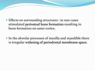  Effects on surrounding structures : in rare cases
stimulated periosteal bone formation resulting in
bone formation on outer cortex.
 In the alveolar processes of maxilla and mandible there
is irregular widening of periodontal membrane space.
 