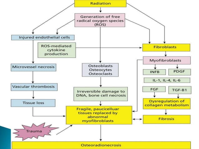 OSTEORADIONECROSIS &BRONJ-1 assignment.pptx