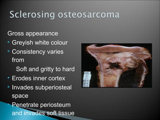 Gross appearance
 Greyish white colour
 Consistency varies
from
Soft and gritty to hard
 Erodes inner cortex
 Invades subperiosteal
space
 Penetrate periosteum
and invades soft tissue
 
