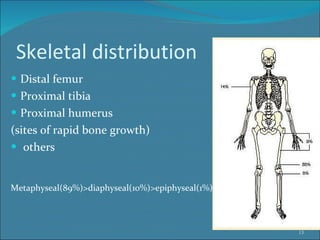 Skeletal distribution Distal femur Proximal tibia Proximal humerus (sites of rapid bone growth) others Metaphyseal(89%)>diaphyseal(10%)>epiphyseal(1%) 