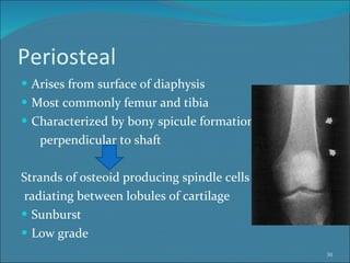 Periosteal  Arises from surface of diaphysis Most commonly femur and tibia Characterized by bony spicule formation perpendicular to shaft Strands of osteoid producing spindle cells radiating between lobules of cartilage Sunburst Low grade  
