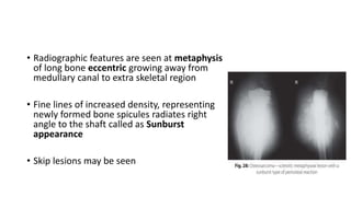 • Radiographic features are seen at metaphysis
of long bone eccentric growing away from
medullary canal to extra skeletal region
• Fine lines of increased density, representing
newly formed bone spicules radiates right
angle to the shaft called as Sunburst
appearance
• Skip lesions may be seen
 
