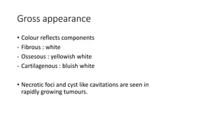 Gross appearance
• Colour reflects components
- Fibrous : white
- Ossesous : yellowish white
- Cartilagenous : bluish white
• Necrotic foci and cyst like cavitations are seen in
rapidly growing tumours.
 