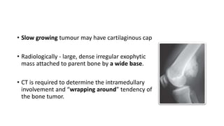 • Slow growing tumour may have cartilaginous cap
• Radiologically - large, dense irregular exophytic
mass attached to parent bone by a wide base.
• CT is required to determine the intramedullary
involvement and “wrapping around” tendency of
the bone tumor.
 