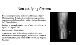 Non ossifying fibroma
• Nonossifying fibroma/ metaphyseal fibrous defects/
fibrous cortical defects/ fibroxanthomas are common
developmental abnormalities and are believed to occur
in 35% of children.
• Lesions in metaphyseal region of long bones between
ages 2 to 20 years old.
• Distal femur> Tibia>Fibula
• Appears as a well defined lobulated lesion located
eccentrically in the metaphysis, multilocular, sclerotic
scalloped borders, and erosion of borders are frequent
findings.
 
