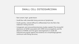 SMALL CELL OSTEOSARCOMA
• Rare variant, high- grade lesion
• Small blue cells (resemble Ewing sarcoma or lymphoma)
• Small quantity, osteoid difficult to differentiate from the fibrin-like
material in Ewing sarcoma
• Cytogenetic and immunohistochemistry studies needed (The strong IHC
expression of SATB2 associated with CD99 immunonegativity and the
absence of EWSR1 and FUS gene rearrangements in small cell
osteosarcoma argues against the existence of a morphologic/genetic
continuum with Ewing sarcoma.)
 