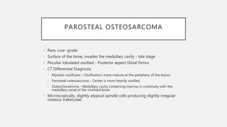 PAROSTEAL OSTEOSARCOMA
• Rare, Low- grade
• Surface of the bone, invades the medullary cavity - late stage
• Peculiar lobulated ossified - Posterior aspect Distal Femur
• CT Differential Diagnosis
• Myositis ossificans – Ossification more mature at the periphery of the lesion,
• Parosteal osteosarcoma - Center is more heavily ossified
• Osteochondroma - Medullary cavity containing marrow in continuity with the
medullary canal of the involved bone.
• Microscopically, slightly atypical spindle cells producing slightly irregular
osseous trabeculae.
 