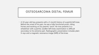 OSTEOSARCOMA DISTAL FEMUR
• A 10-year-old boy presents with a 3-month history of a painful left knee.
Before the onset of his pain, he was a fully functional youth, riding
horses and working on his parents’ ranch. He now presents in a
wheelchair with a painful, swollen left knee; examination is difficult
secondary to his extreme pain. Radiographic presentation includes plain
X-rays and a magnetic resonance image (MRI) of the knee.
 