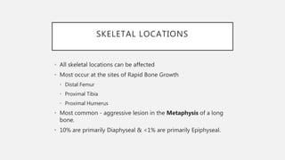 SKELETAL LOCATIONS
• All skeletal locations can be affected
• Most occur at the sites of Rapid Bone Growth
• Distal Femur
• Proximal Tibia
• Proximal Humerus
• Most common - aggressive lesion in the Metaphysis of a long
bone.
• 10% are primarily Diaphyseal & <1% are primarily Epiphyseal.
 
