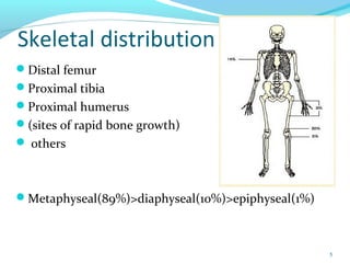 Distal femur
Proximal tibia
Proximal humerus
(sites of rapid bone growth)
 others
Metaphyseal(89%)>diaphyseal(10%)>epiphyseal(1%)
5
Skeletal distribution
 