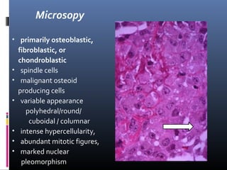 Microsopy
• primarily osteoblastic,
fibroblastic, or
chondroblastic
• spindle cells
• malignant osteoid
producing cells
• variable appearance
polyhedral/round/
cuboidal / columnar
• intense hypercellularity,
• abundant mitotic figures,
• marked nuclear
pleomorphism
 