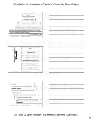 21
Fase 2
Dinamización controlada
Aflojar el tornillo del cuerpo hembra del fijador axial,
sin retirar el compresor-distractor
En fracturas estables entre
la 2da. y 4ta. semana
En fracturas inestables
entre la 6ta. y 8va. semana
El movimento axial del fijador, permite al hueso tomar la carga axial solamente.
La rotación y flexión están controladas por el fijador.
Prof. G. De Bastiani. JBJS, 1984
Lic. Tironi - Lic. La Spina 61Biomecánica de las osteosíntesis
Fase 3
Dinamización libre
Ante la aparición de los primeros signos
radiográficos de callo óseo
Se libera totalmente el sistema axial
Para permitir el efecto punta sobre los
fragmentos fracturarios
Lograr así la formación del callo duro o
definitivo
Lic. Tironi - Lic. La Spina 62Biomecánica de las osteosíntesis
A. G. Apley
Cirujano Maestro
Dijo alguna vez:
“El callo óseo es como el sexo”
“Une dos partes y necesita un poco de
movimiento”
Lic. Tironi - Lic. La Spina 63Biomecánica de las osteosíntesis
Especialidad en Kinesiología y Fisiatría en Ortopedia y Traumatología
Lic. Pablo La Spina (Director) - Lic. Marcelo Altamirano (Subdirector)
 
