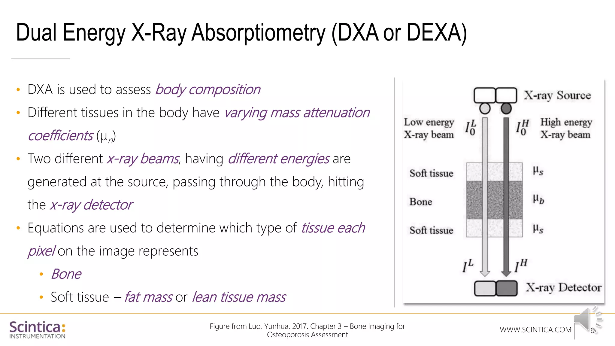 WWW.SCINTICA.COM
Dual Energy X-Ray Absorptiometry (DXA or DEXA)
• DXA is used to assess body composition
• Different tissues in the body have varying mass attenuation
coefficients (µn)
• Two different x-ray beams, having different energies are
generated at the source, passing through the body, hitting
the x-ray detector
• Equations are used to determine which type of tissue each
pixel on the image represents
• Bone
• Soft tissue – fat mass or lean tissue mass
Figure from Luo, Yunhua. 2017. Chapter 3 – Bone Imaging for
Osteoporosis Assessment
6
 