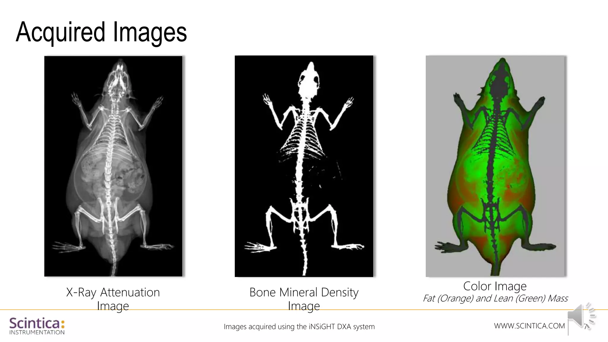 WWW.SCINTICA.COM
Acquired Images
Images acquired using the iNSiGHT DXA system 7
X-Ray Attenuation
Image
Bone Mineral Density
Image
Color Image
Fat (Orange) and Lean (Green) Mass
 