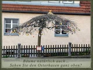 Bäume natürlich auch…Sehen Sie den Osterhasen ganz oben?