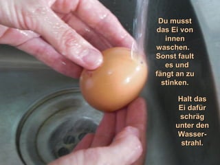 Du musstDu musst
das Ei vondas Ei von
inneninnen
waschen.waschen.
Sonst faultSonst fault
es undes und
fängt an zufängt an zu
stinken.stinken.
Halt dasHalt das
Ei dafürEi dafür
schrägschräg
unter denunter den
Wasser-Wasser-
strahl.strahl.
 