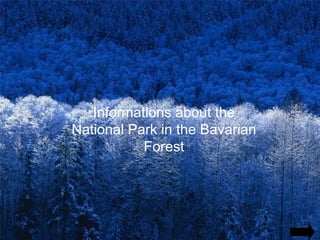 Informations about the National Park in the Bavarian Forest 