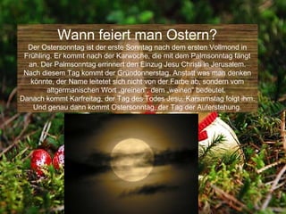 Wann feiert man Ostern?
  Der Ostersonntag ist der erste Sonntag nach dem ersten Vollmond in
 Frühling. Er kommt nach der Karwoche, die mit dem Palmsonntag fängt
  an. Der Palmsonntag errinnert den Einzug Jesu Christi in Jerusalem.
 Nach diesem Tag kommt der Gründonnerstag. Anstatt was man denken
   könnte, der Name leitetet sich nicht von der Farbe ab, sondern vom
        altgermanischen Wort „greinen”, dem „weinen“ bedeutet.
Danach kommt Karfreitag, der Tag des Todes Jesu. Karsamstag folgt ihm.
    Und genau dann kommt Ostersonntag, der Tag der Auferstehung.
 