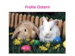 Frohe Ostern
 