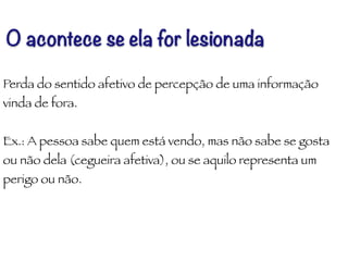 Perda do sentido afetivo de percepção de uma informação
vinda de fora.
!
Ex.: A pessoa sabe quem está vendo, mas não sabe se gosta
ou não dela (cegueira afetiva), ou se aquilo representa um
perigo ou não.
O acontece se ela for lesionada
 