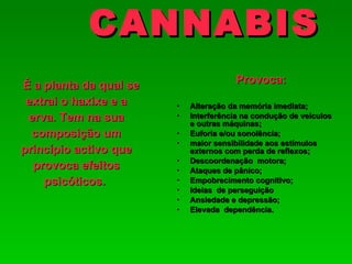 CANNABIS
É a planta da qual se                  Provoca:
 extrai o haxixe e a    •   Alteração da memória imediata;
 erva. Tem na sua       •   Interferência na condução de veículos
                            e outras máquinas;
  composição um         •   Euforia e/ou sonolência;
                        •   maior sensibilidade aos estímulos
princípio activo que        externos com perda de reflexos;
                        •   Descoordenação motora;
  provoca efeitos       •   Ataques de pânico;
    psicóticos.         •   Empobrecimento cognitivo;
                        •   Ideias de perseguição
                        •   Ansiedade e depressão;
                        •   Elevada dependência.
 
