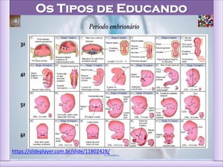 Os Tipos de Educando
https://slideplayer.com.br/slide/11802428/
 