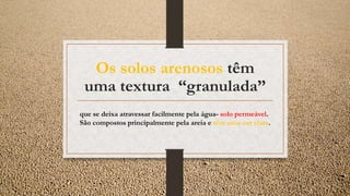Os solos arenosos têm
uma textura “granulada”
que se deixa atravessar facilmente pela água- solo permeável.
São compostos principalmente pela areia e têm uma cor clara.
 