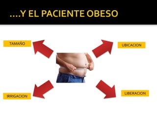 UBICACION
LIBERACION
IRRIGACION
TAMAÑO
 