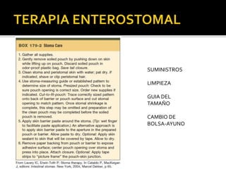 SUMINISTROS
LIMPIEZA
GUIA DEL
TAMAÑO
CAMBIO DE
BOLSA-AYUNO
 