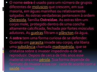 O nome ostra é usado para um número de grupos
diferentes de moluscos que crescem, em sua
maioria, em águas marinhas ou relativamente
salgadas. As ostras verdadeiras pertencem à ordem
Ostreoida, família Ostreidae. As ostras têm um
corpo mole, protegido dentro de uma concha
altamente calcificada, fechada por fortes músculos
adutores. As guelras filtram o plâncton da água.
 A ostra tem uma forma curiosa de se defender.
Quando um parasita invade seu corpo, ela libera
uma substância chamada madrepérola, que se
cristaliza sobre o invasor impedindo-o de se
reproduzir. Depois de cerca de três anos esse
material vira uma pérola. Sua forma depende do
formato do invasor e sua cor varia de acordo com a
saúde da ostra.
 