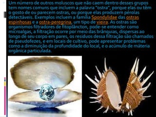  Um número de outros moluscos que não caem dentro desses grupos
tem nomes comuns que incluem a palavra "ostra", porque elas ou têm
o gosto de ou parecem ostras, ou porque elas produzem pérolas
detectáveis. Exemplos incluem a família Spondylidae das ostras
espinhosas e a ostra-peregrina, um tipo de vieira. As ostras são
organismos filtradores de fitoplâncton, pode-se entender como
microalgas, a filtração ocorre por meio das brânquias, dispersas ao
longo de seu corpo em pares, os residuos dessa filtração são chamados
de pseudofezes, e em locais de cultivo, pode apresentar problemas
como a diminuição da profundidade do local, e o acúmulo de máteria
orgânica particulada.
 