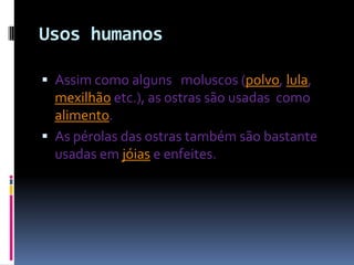 Usos humanos
 Assim como alguns moluscos (polvo, lula,
mexilhão etc.), as ostras são usadas como
alimento.
 As pérolas das ostras também são bastante
usadas em jóias e enfeites.
 