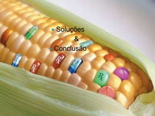 Soluções
&
 Conclusão


 
