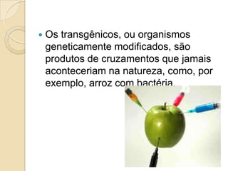

Os transgênicos, ou organismos
geneticamente modificados, são
produtos de cruzamentos que jamais
aconteceriam na natureza, como, por
exemplo, arroz com bactéria.

 