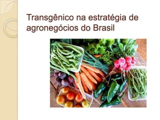 Transgênico na estratégia de
agronegócios do Brasil

 